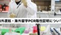 ラボでのPCR検査