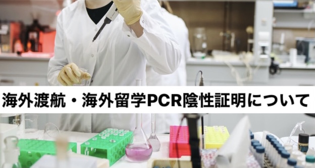 ラボでのPCR検査